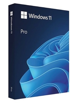 Windows 11 X64 Pro ACTIVATED LATEST 2022 TPM BYPASSED torrent